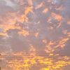 aroosh_ak