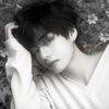 tae_mour