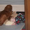 jacob__cohen