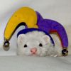 friendofworms24