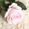 derya7510