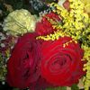 amo2ll