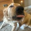 willbuddy0