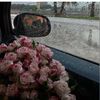 omnayef_4