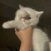 jessymohamed67
