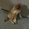 bprairie
