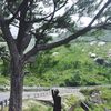 uyen72_vt
