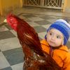 aqibmehmood085
