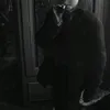 kiraa_aa85