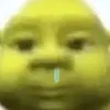 aryelwx