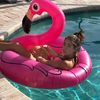 zoeyyy_12345
