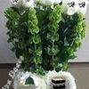 syeddanish2394