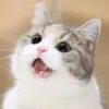 usercc00py5tk9