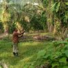 faizajisyafiqbackhoe
