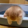 joraccount