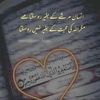 786nasirmehmood