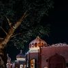 n_alshibanii