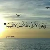 m_s.o_m