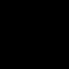 lrosa.v