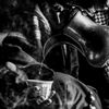 fewacgdeacfe