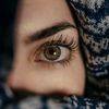 meshosn