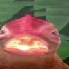 jack_yennella