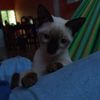 brad_alvarado_26