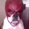 sawoopdaloop