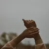 aveinromero