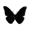sweetmothsin