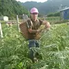 qang13canh