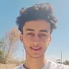 njm_sli