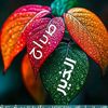 user300755476006