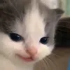 dranrevkun_