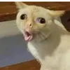 nnnzzznnn111