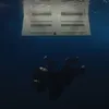 nicoswt