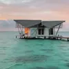 reruae