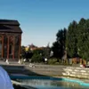 suz_374