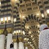 salwahar3
