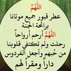 adnan_13561