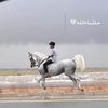 شبل عضل