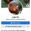 tuangatre95