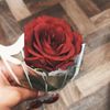 jory_392