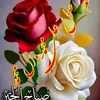 user961243821666158