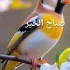 abdallah00172