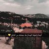 yz_223