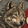 _ravid038