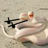 .sniam
