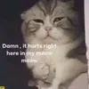 idiealone123