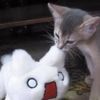 cutebutboring